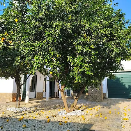 Hébergement de vacances Casa Grilo Cabanas De Tavira